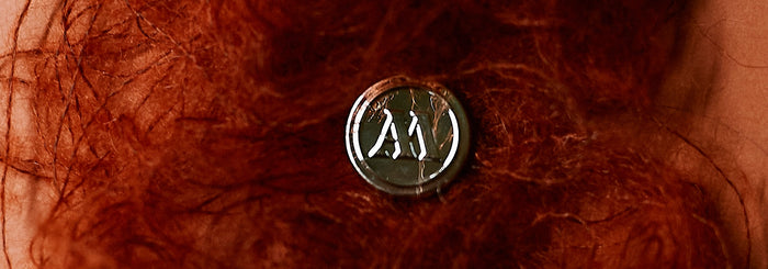 ABOUT US NUOVO
