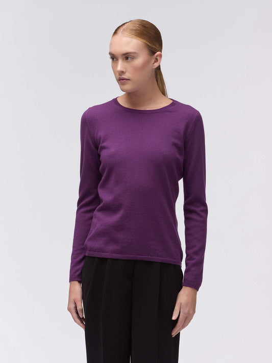 Cashmere crew neck sweater savoia                                                                                               550781_rcapi_g71g71